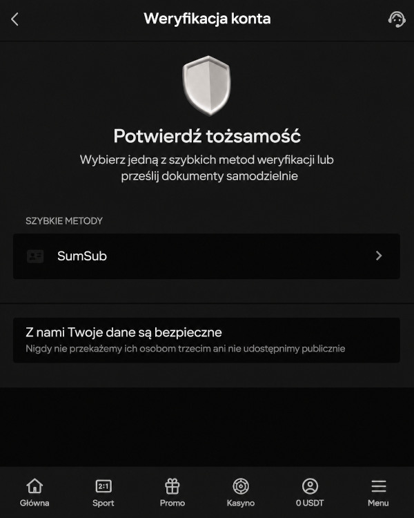 Zagruzka dokumentow w panelu użytkownika dla prochożdenija weryfikacji